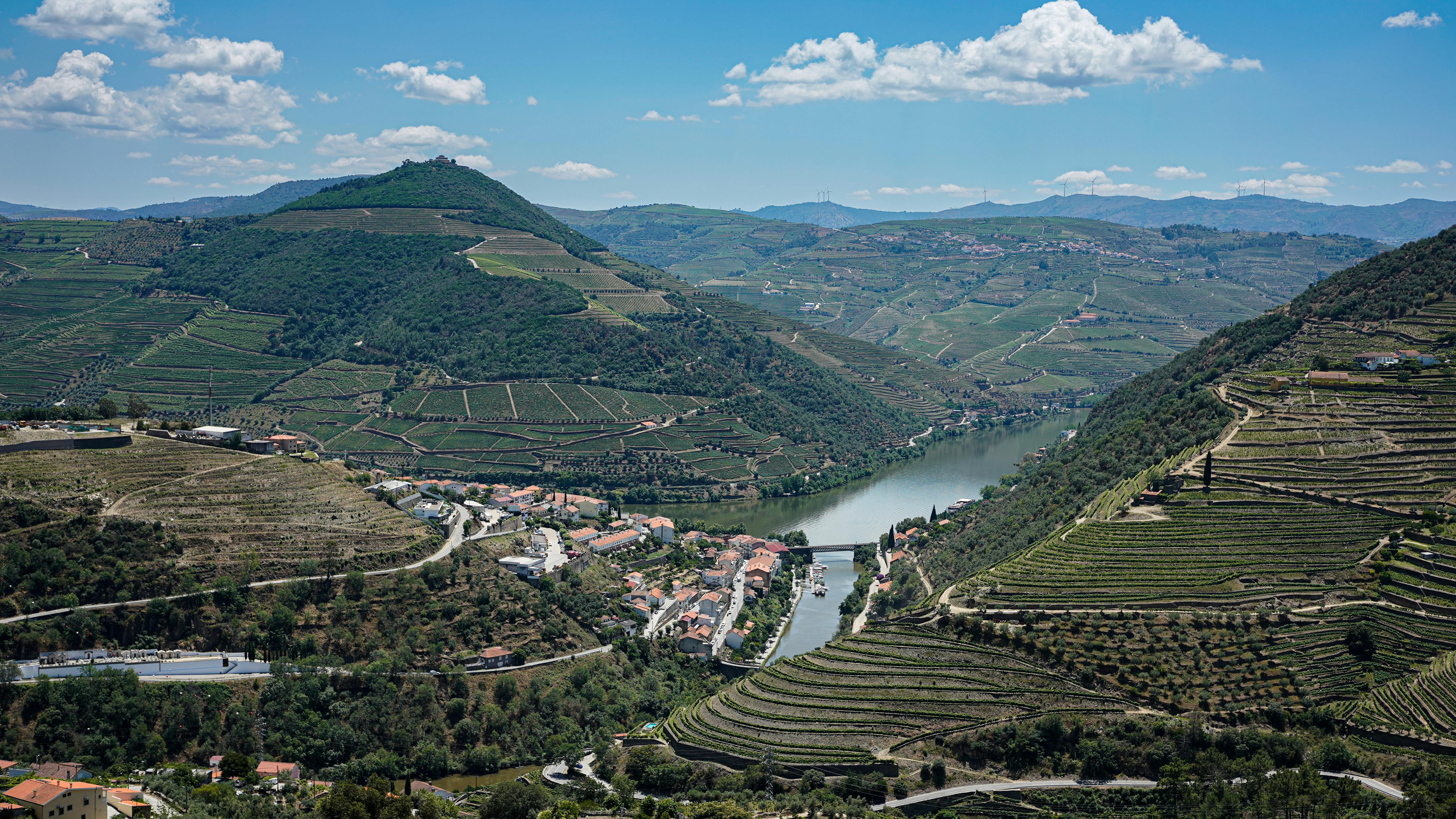 The Douro Valley